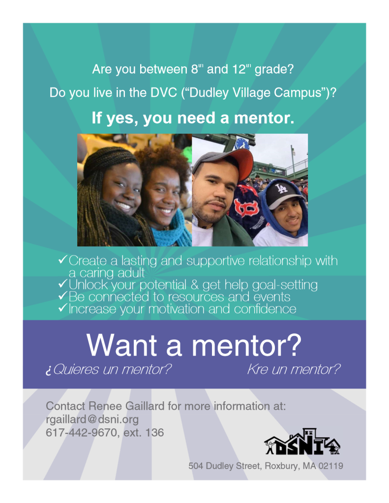 Dudley Street Neighborhood Initiative mentoring program - Massachusetts ...